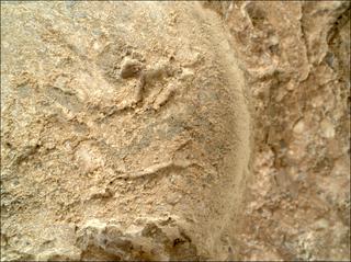 View image taken on Mars, Mars Perseverance Sol 1621: WATSON Camera 