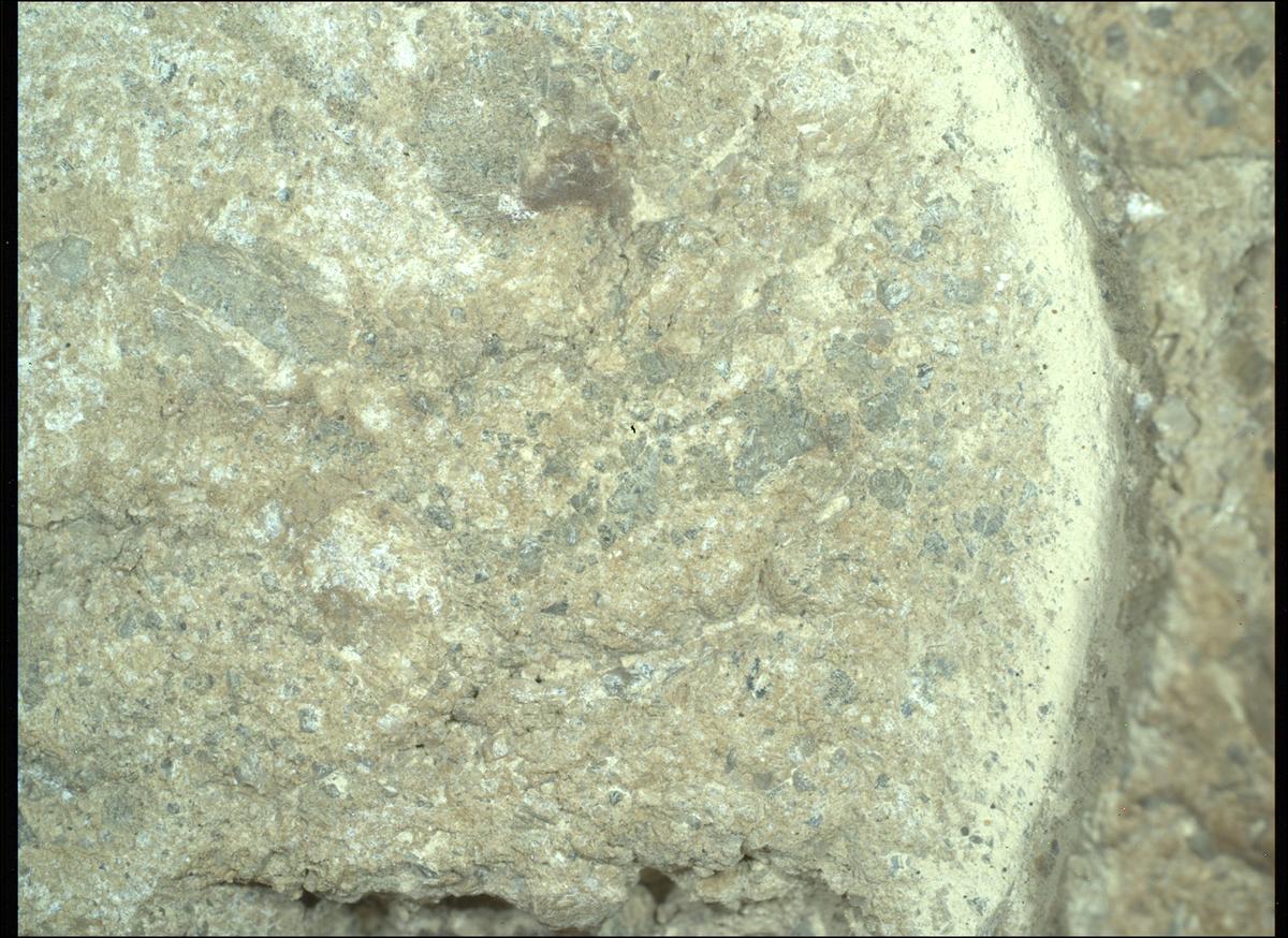 This image was taken by SHERLOC_WATSON onboard NASA's Mars rover Perseverance on Sol 1621