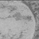 This image was taken by MCZ_RIGHT onboard NASA's Mars rover Perseverance on Sol 1621