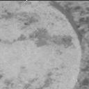 View image taken on Mars, Mars Perseverance Sol 1621: Right Mastcam-Z Camera