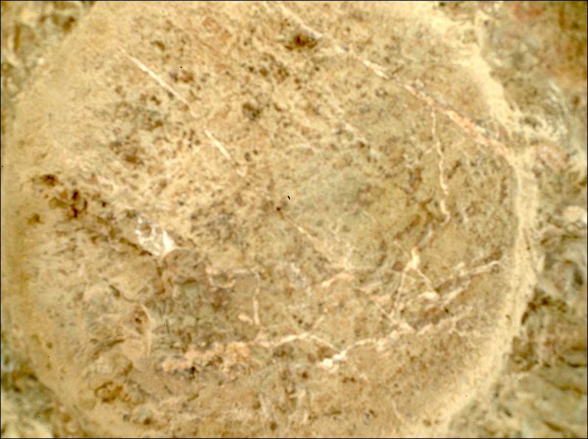 This image was taken by SHERLOC_WATSON onboard NASA's Mars rover Perseverance on Sol 1623