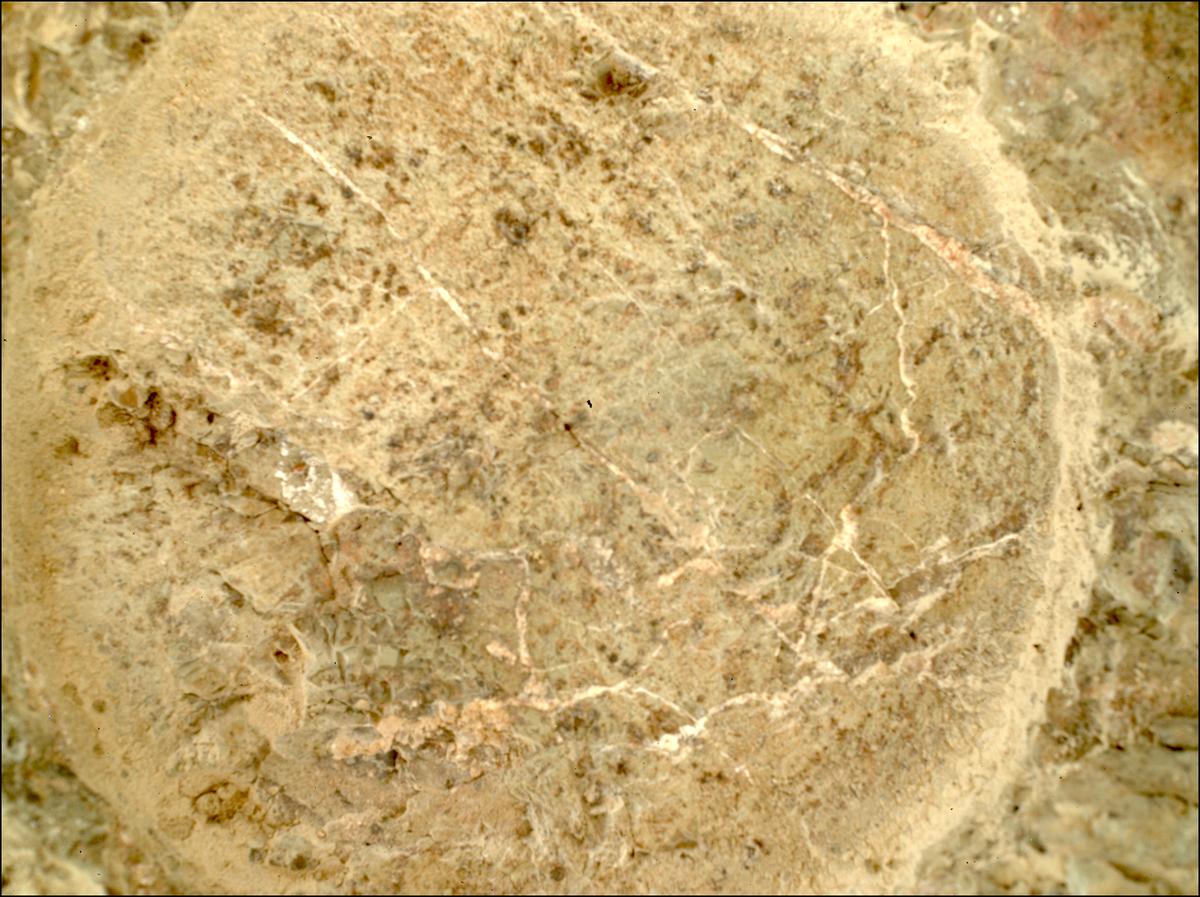 This image was taken by SHERLOC_WATSON onboard NASA's Mars rover Perseverance on Sol 1623