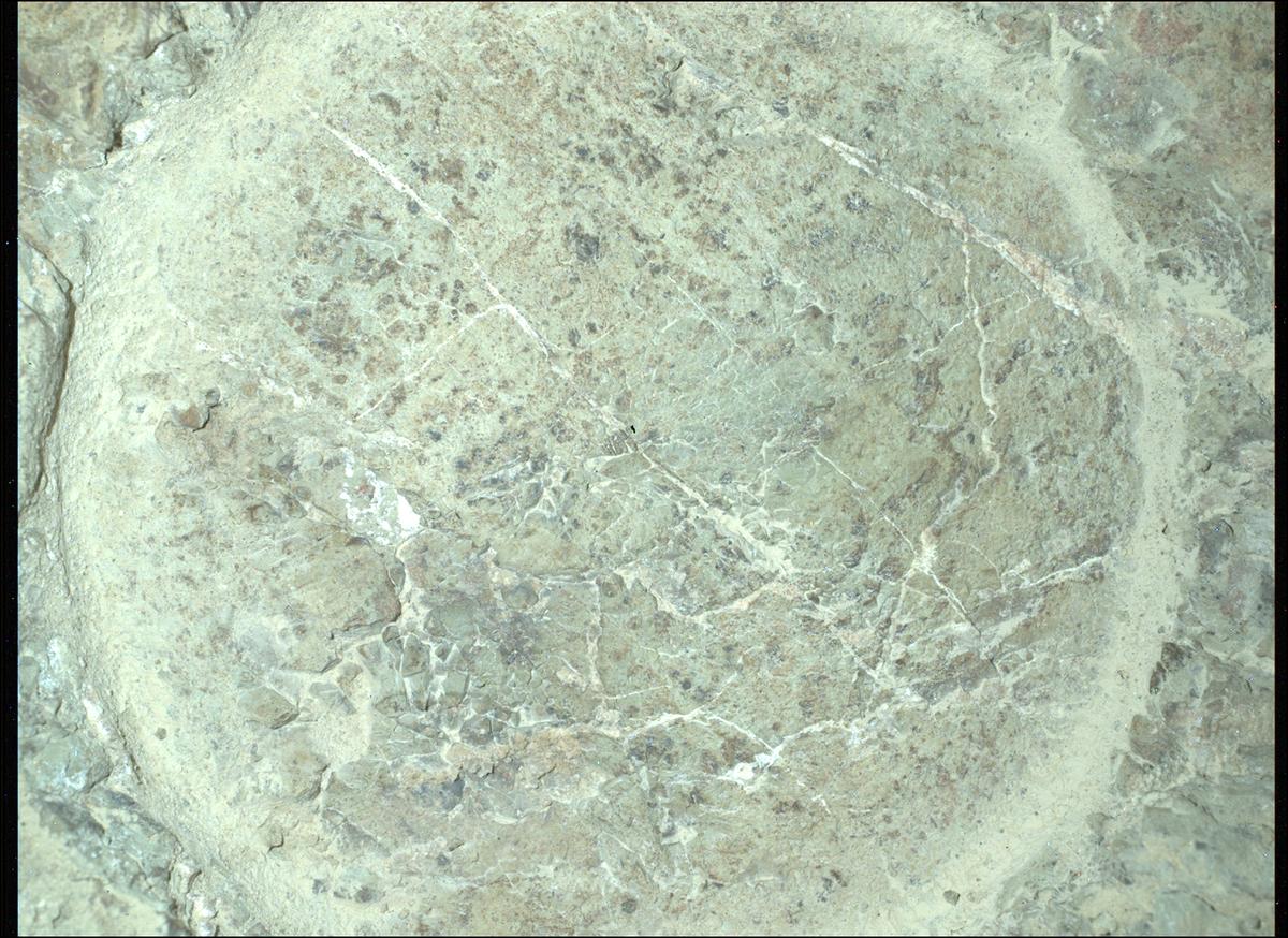 This image was taken by SHERLOC_WATSON onboard NASA's Mars rover Perseverance on Sol 1623