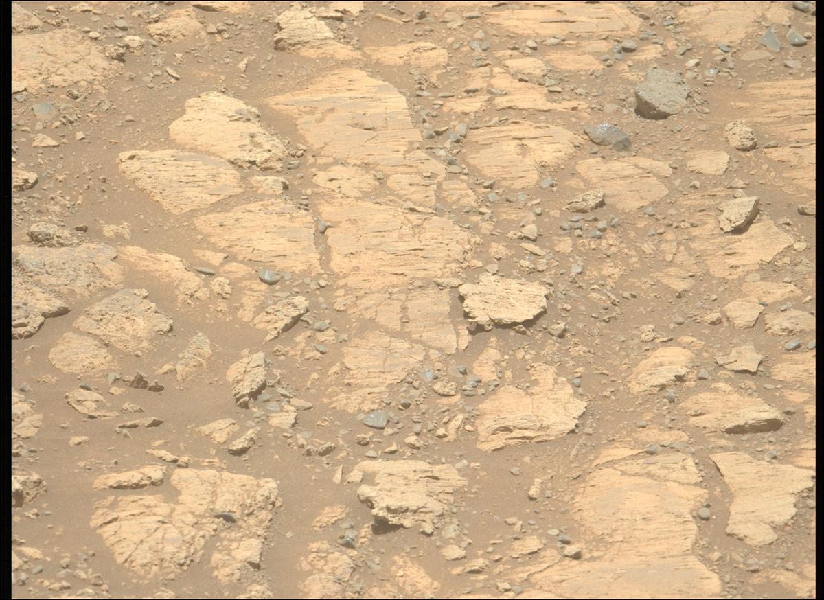 This image was taken by MCZ_LEFT onboard NASA's Mars rover Perseverance on Sol 1624