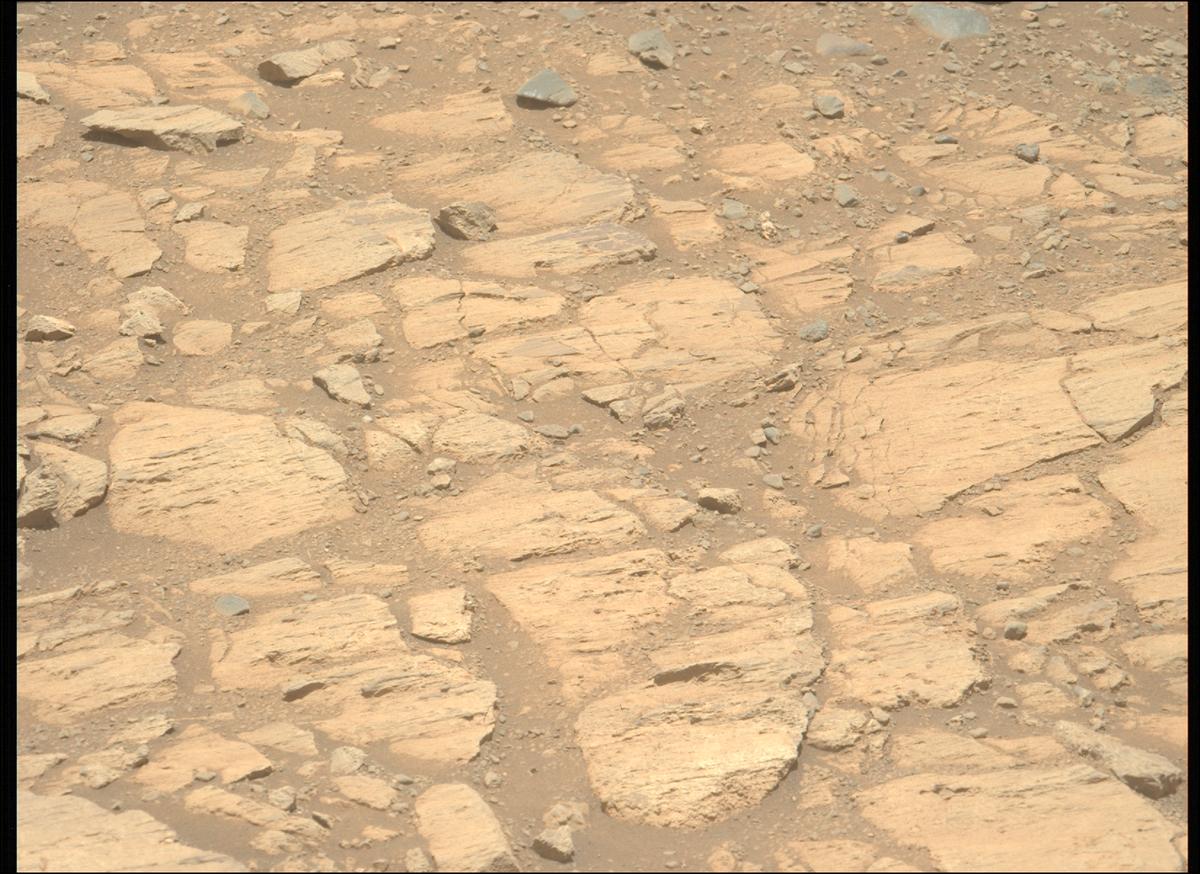 This image was taken by MCZ_LEFT onboard NASA's Mars rover Perseverance on Sol 1624
