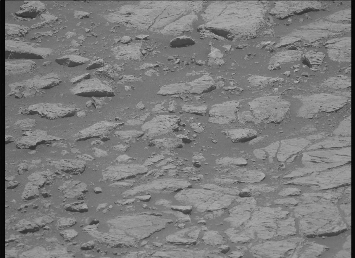 This image was taken by MCZ_LEFT onboard NASA's Mars rover Perseverance on Sol 1624