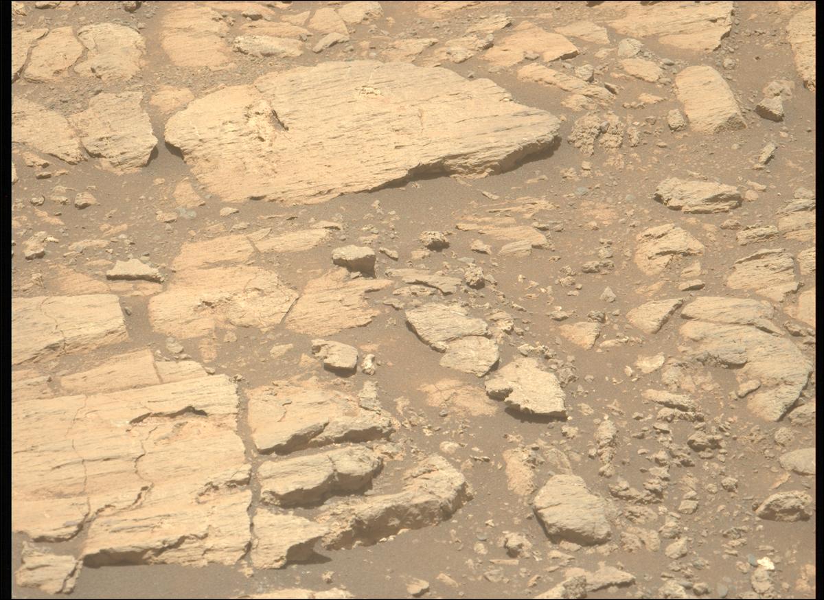 This image was taken by MCZ_LEFT onboard NASA's Mars rover Perseverance on Sol 1624