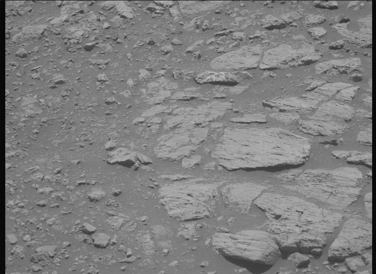 This image was taken by MCZ_LEFT onboard NASA's Mars rover Perseverance on Sol 1624