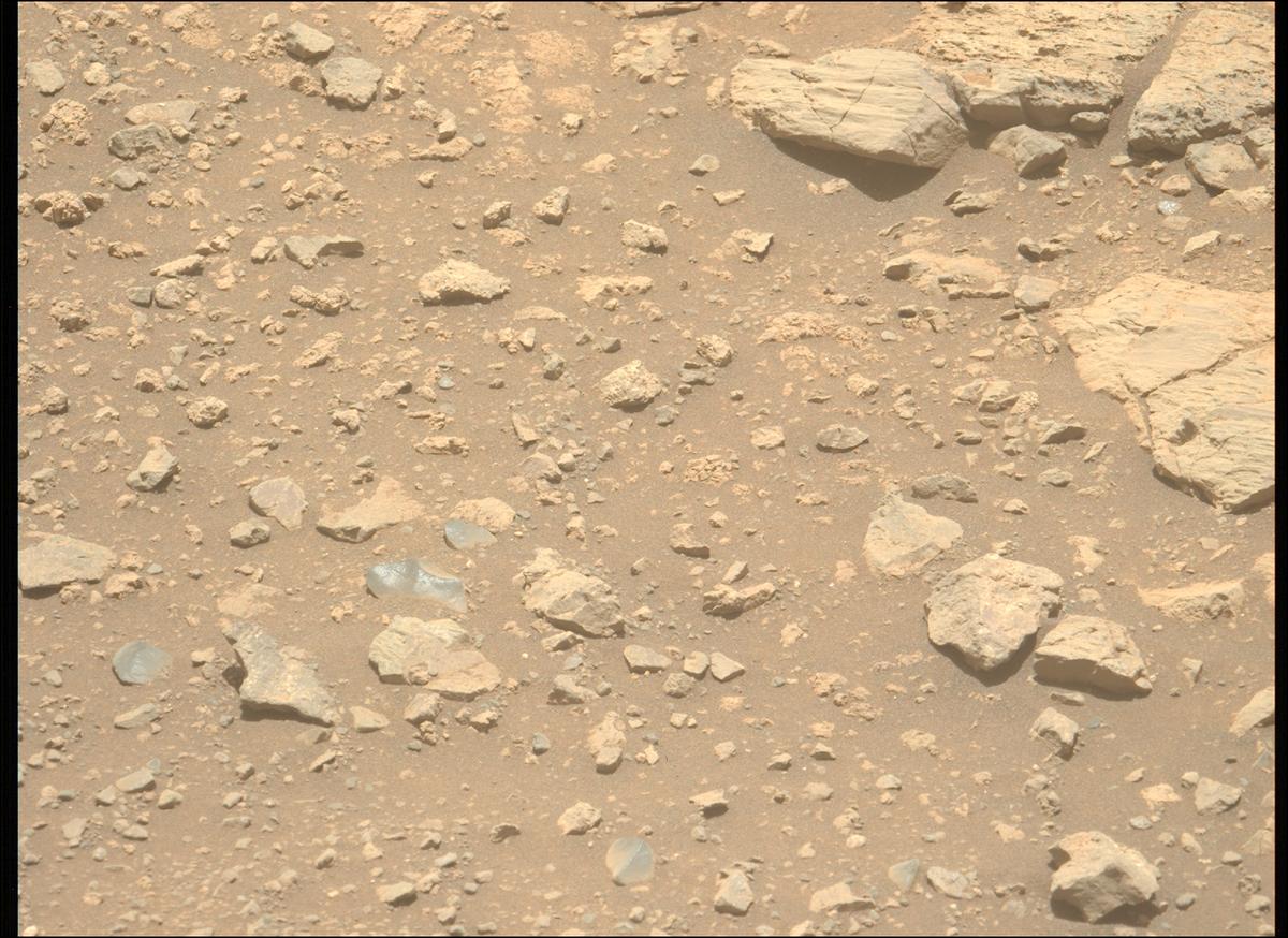 This image was taken by MCZ_LEFT onboard NASA's Mars rover Perseverance on Sol 1624