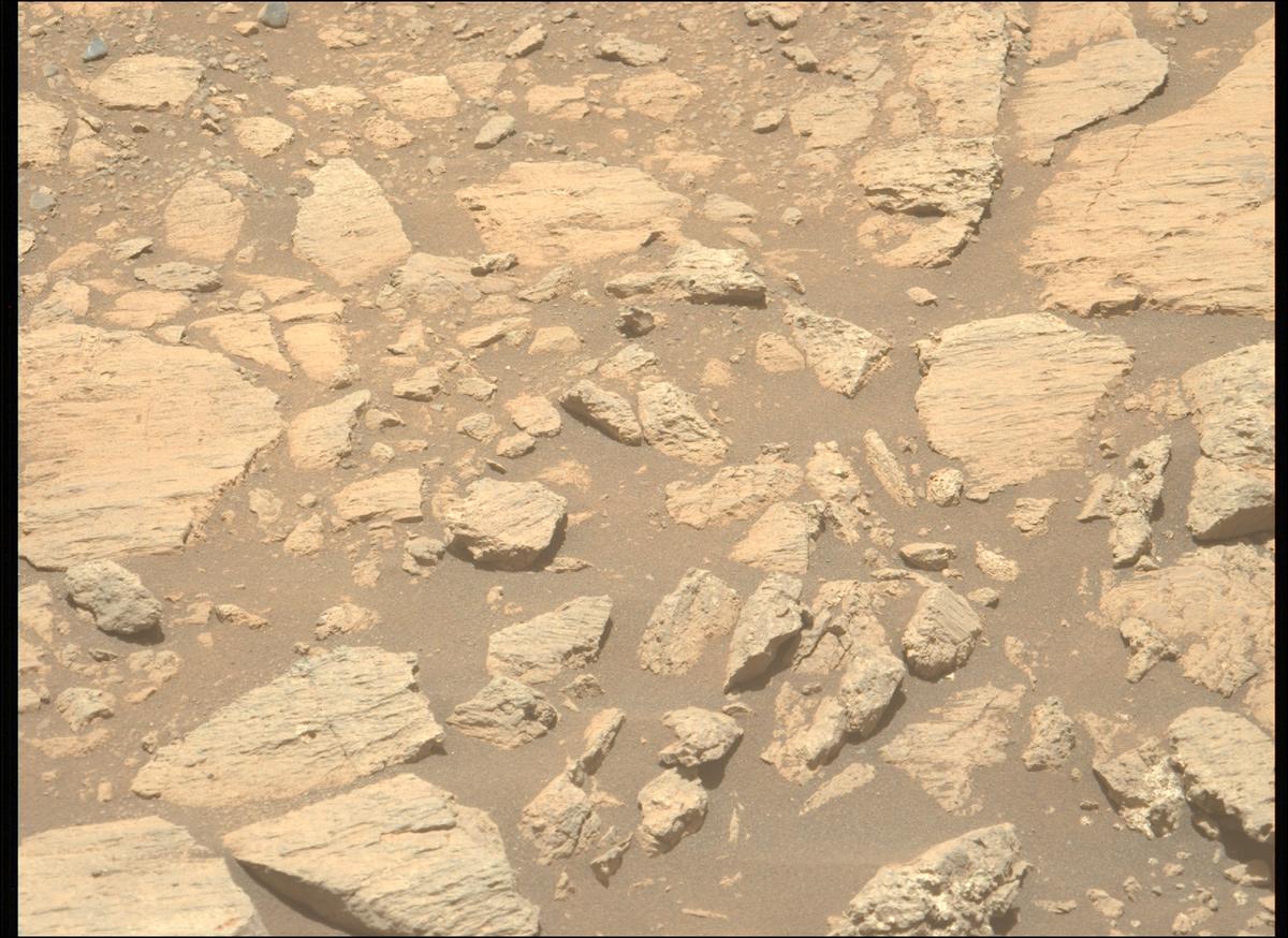 This image was taken by MCZ_LEFT onboard NASA's Mars rover Perseverance on Sol 1624