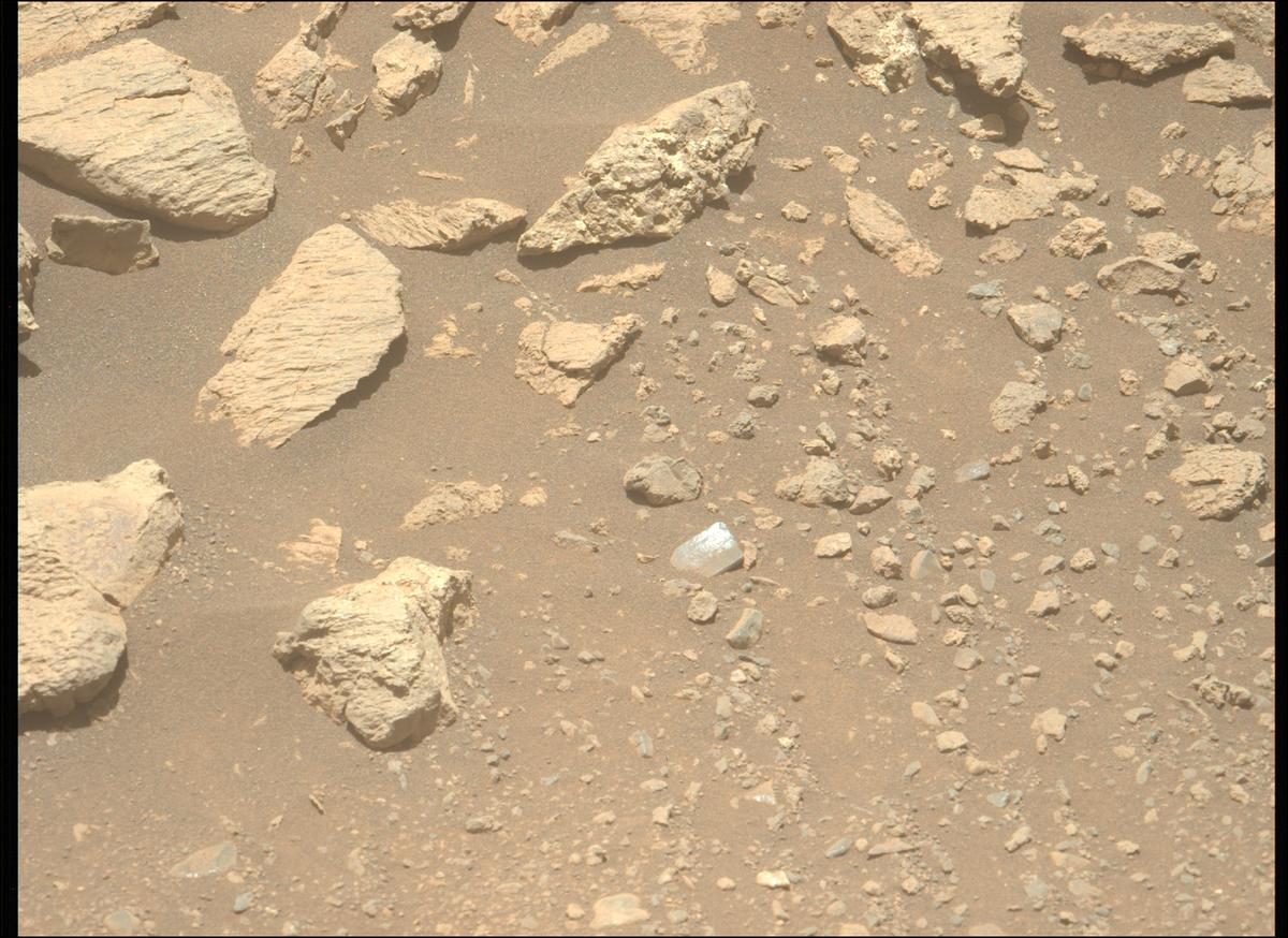 This image was taken by MCZ_LEFT onboard NASA's Mars rover Perseverance on Sol 1624
