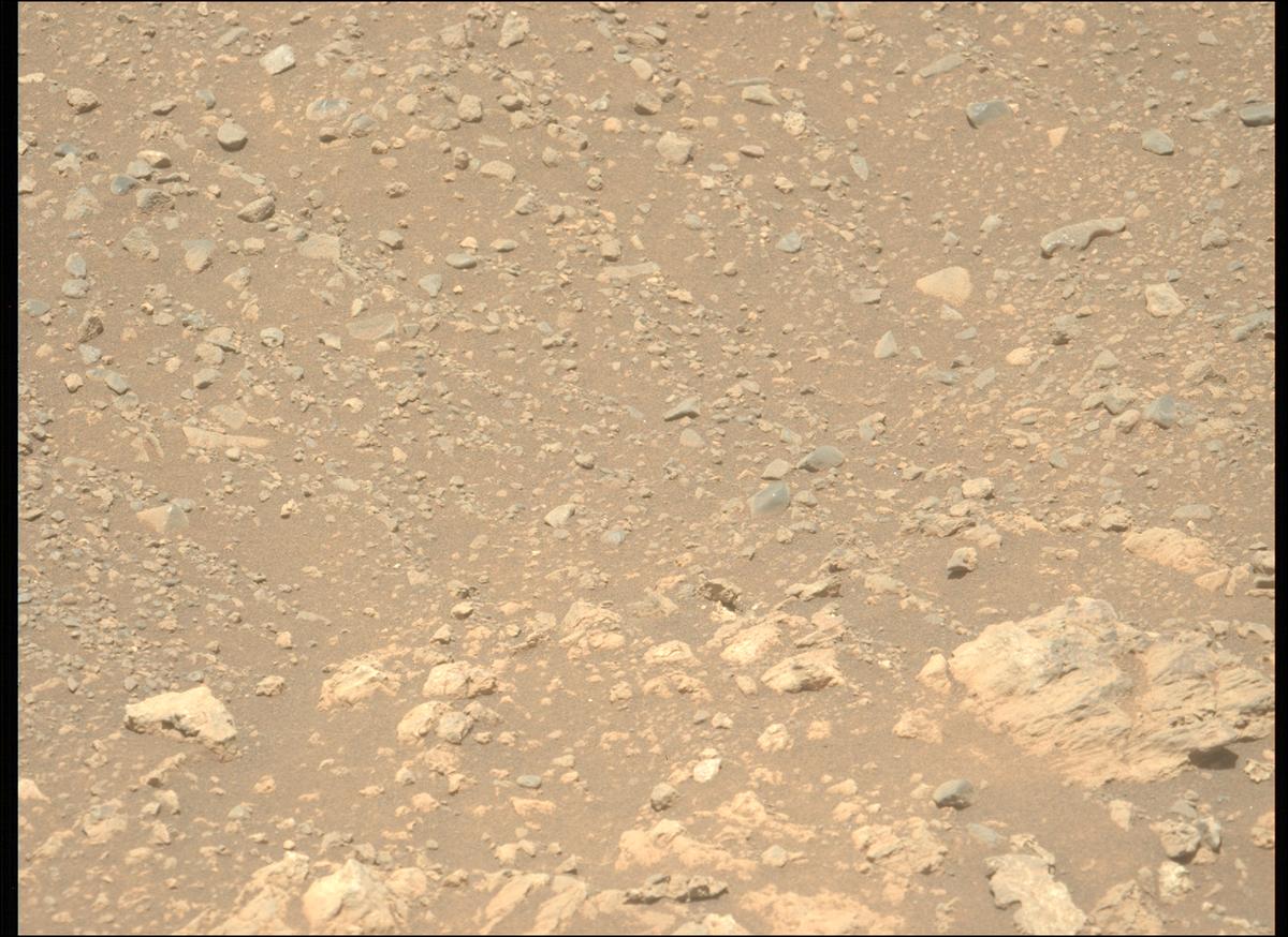 This image was taken by MCZ_LEFT onboard NASA's Mars rover Perseverance on Sol 1624