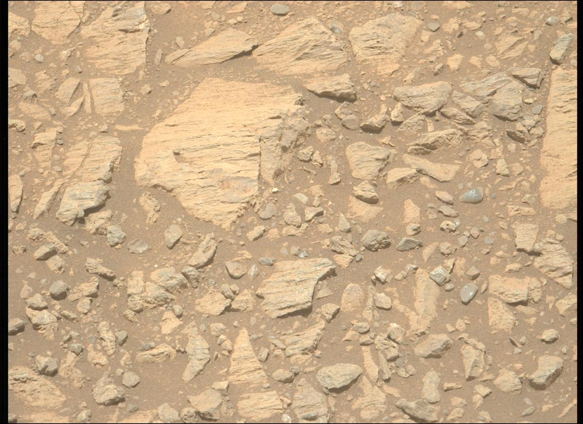 This image was taken by MCZ_LEFT onboard NASA's Mars rover Perseverance on Sol 1624