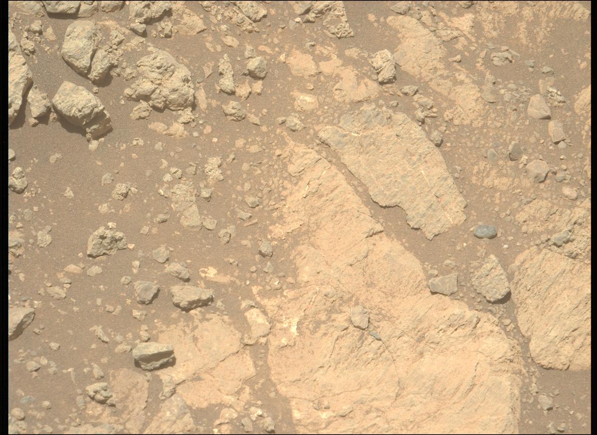 This image was taken by MCZ_LEFT onboard NASA's Mars rover Perseverance on Sol 1624