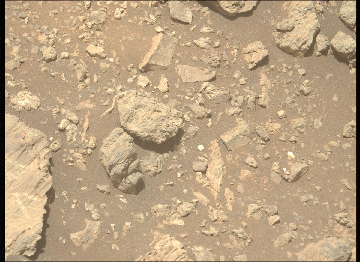 This image was taken by MCZ_LEFT onboard NASA's Mars rover Perseverance on Sol 1624