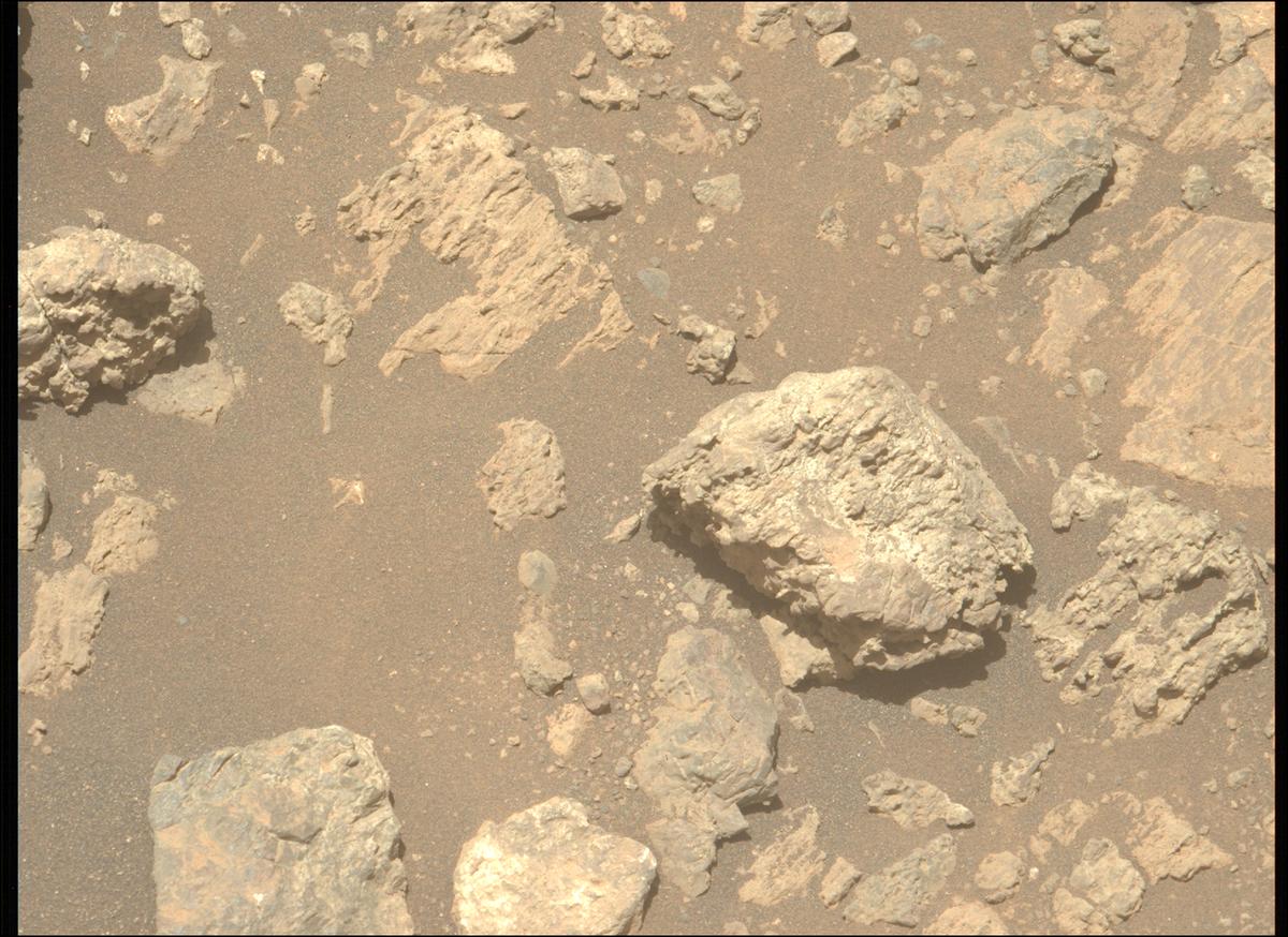 This image was taken by MCZ_LEFT onboard NASA's Mars rover Perseverance on Sol 1624