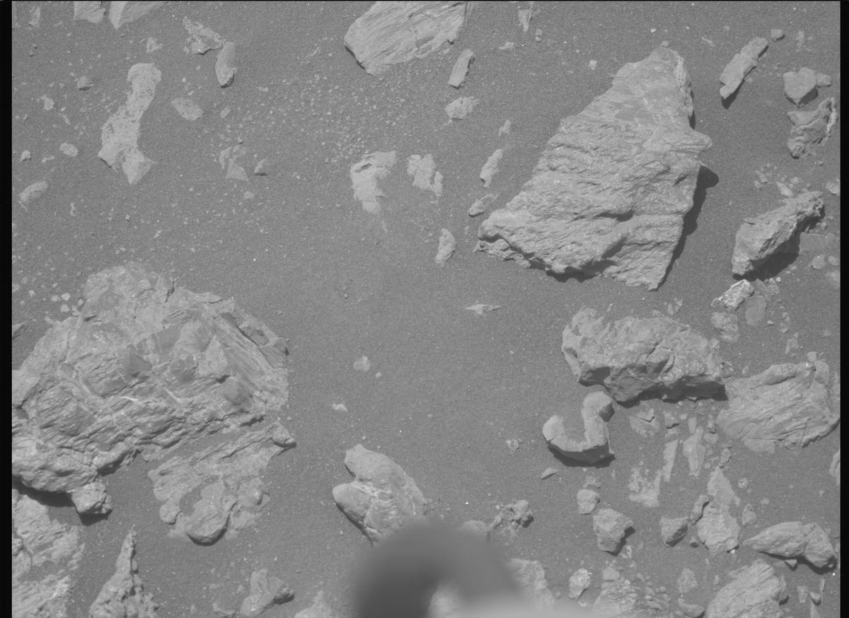 This image was taken by MCZ_LEFT onboard NASA's Mars rover Perseverance on Sol 1624