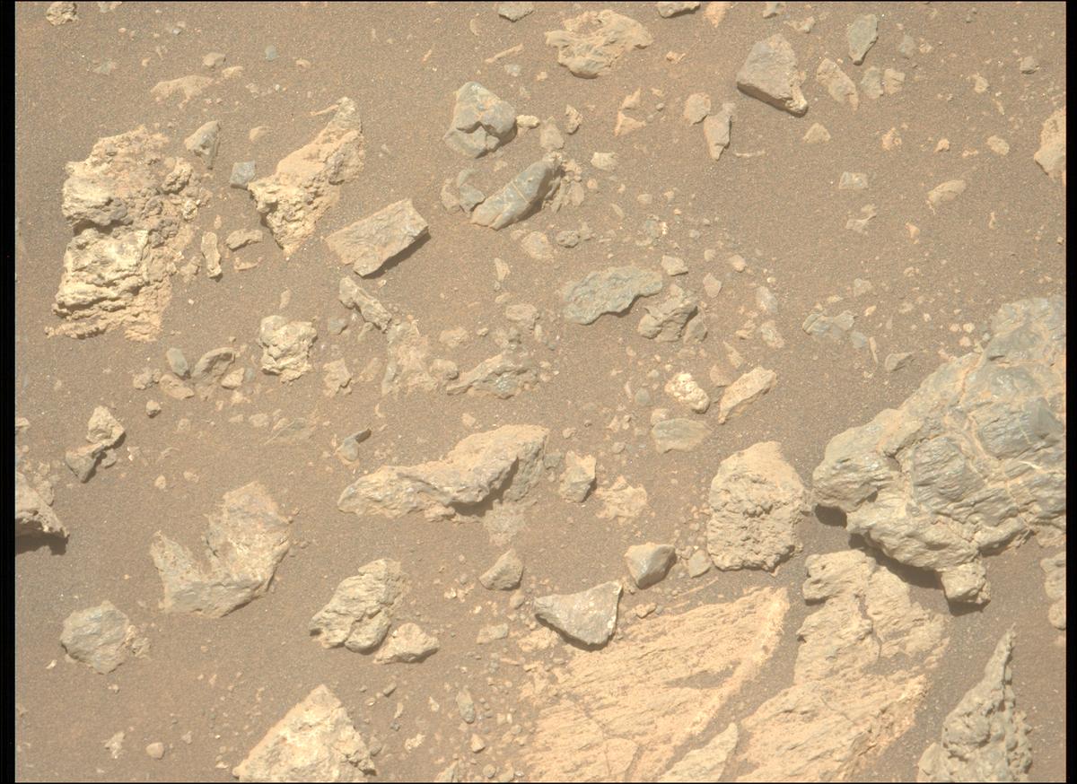 This image was taken by MCZ_LEFT onboard NASA's Mars rover Perseverance on Sol 1624