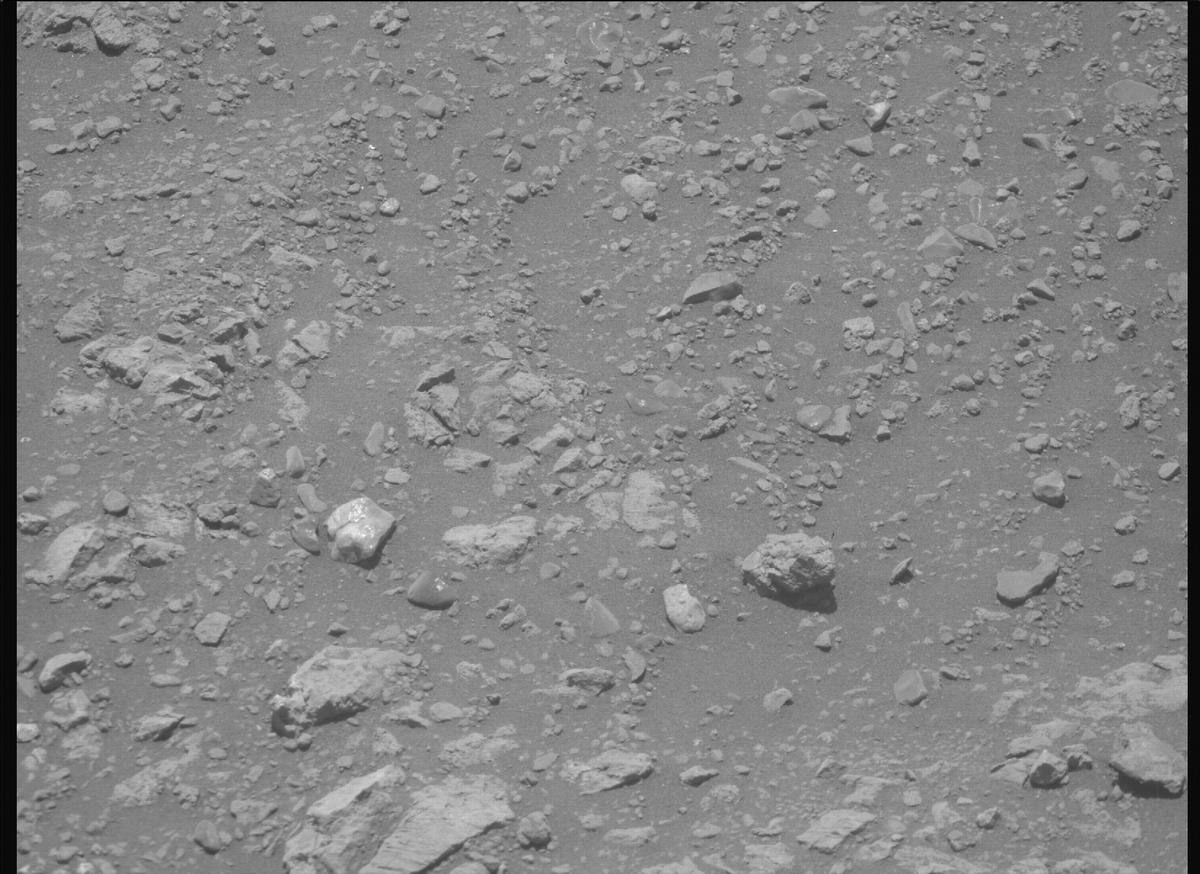 This image was taken by MCZ_RIGHT onboard NASA's Mars rover Perseverance on Sol 1624