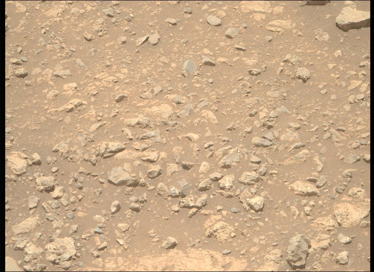 This image was taken by MCZ_RIGHT onboard NASA's Mars rover Perseverance on Sol 1624