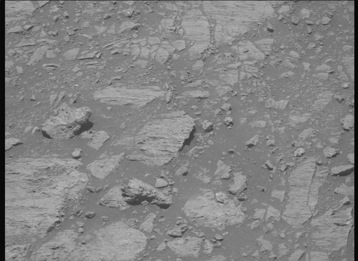 This image was taken by MCZ_RIGHT onboard NASA's Mars rover Perseverance on Sol 1624