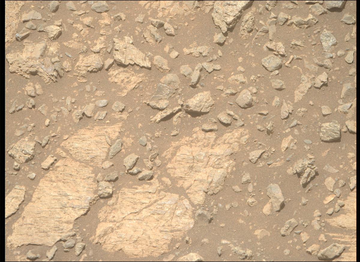 This image was taken by MCZ_RIGHT onboard NASA's Mars rover Perseverance on Sol 1624