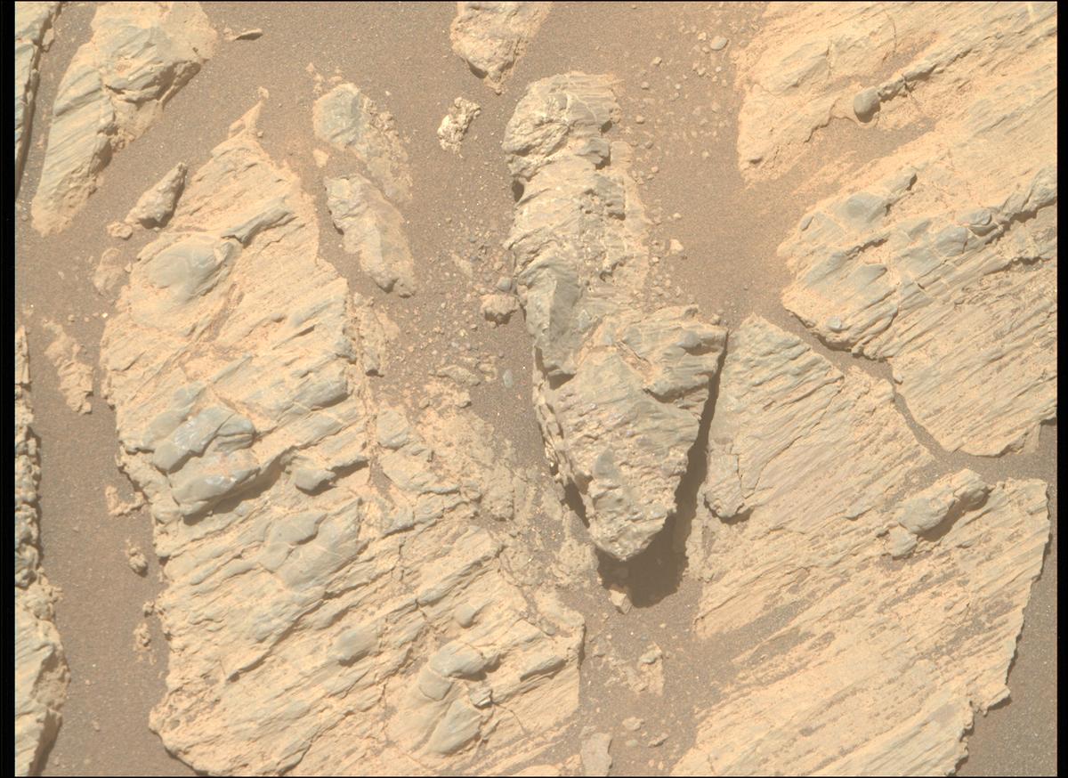 This image was taken by MCZ_RIGHT onboard NASA's Mars rover Perseverance on Sol 1624