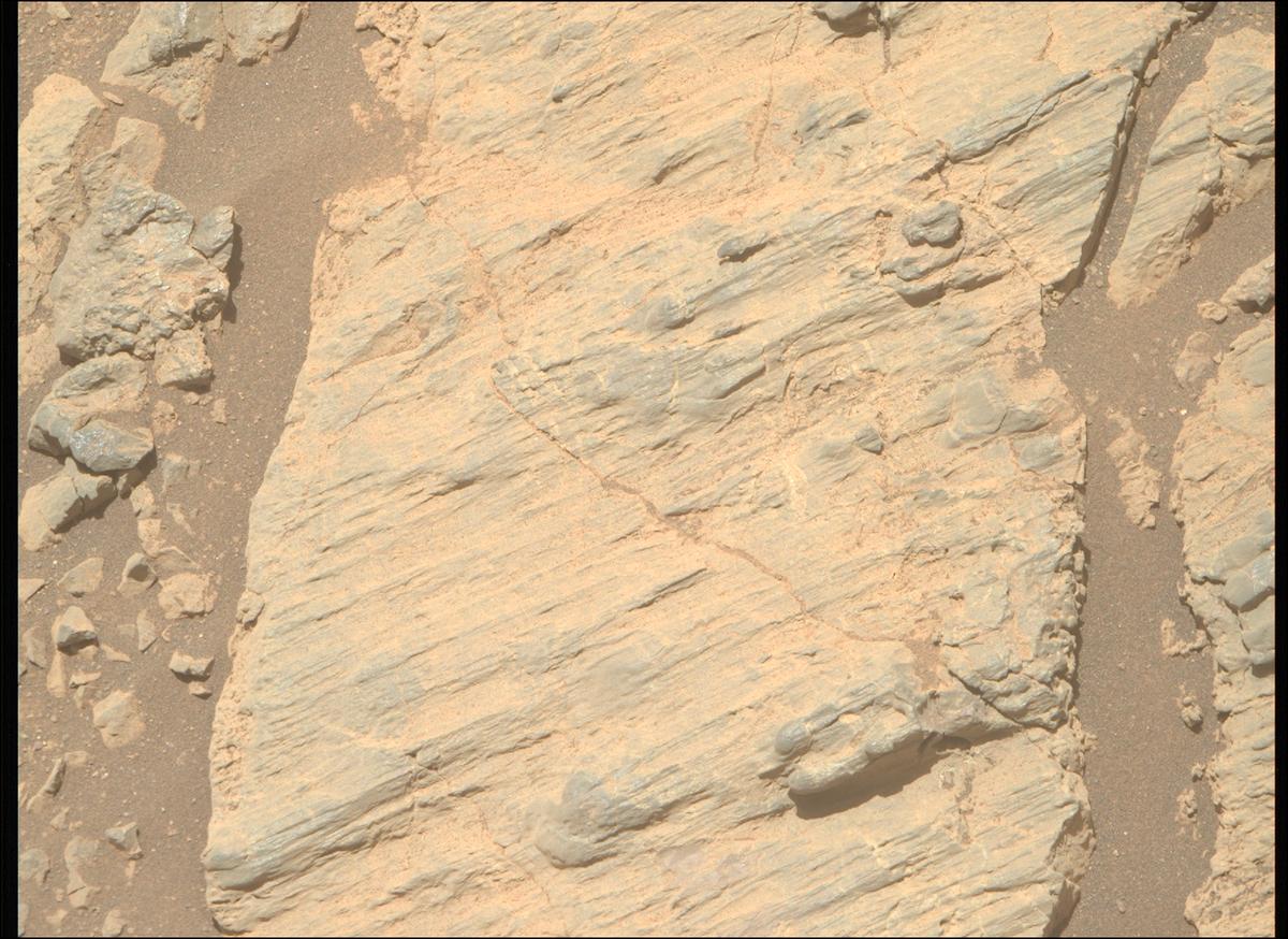 This image was taken by MCZ_RIGHT onboard NASA's Mars rover Perseverance on Sol 1624