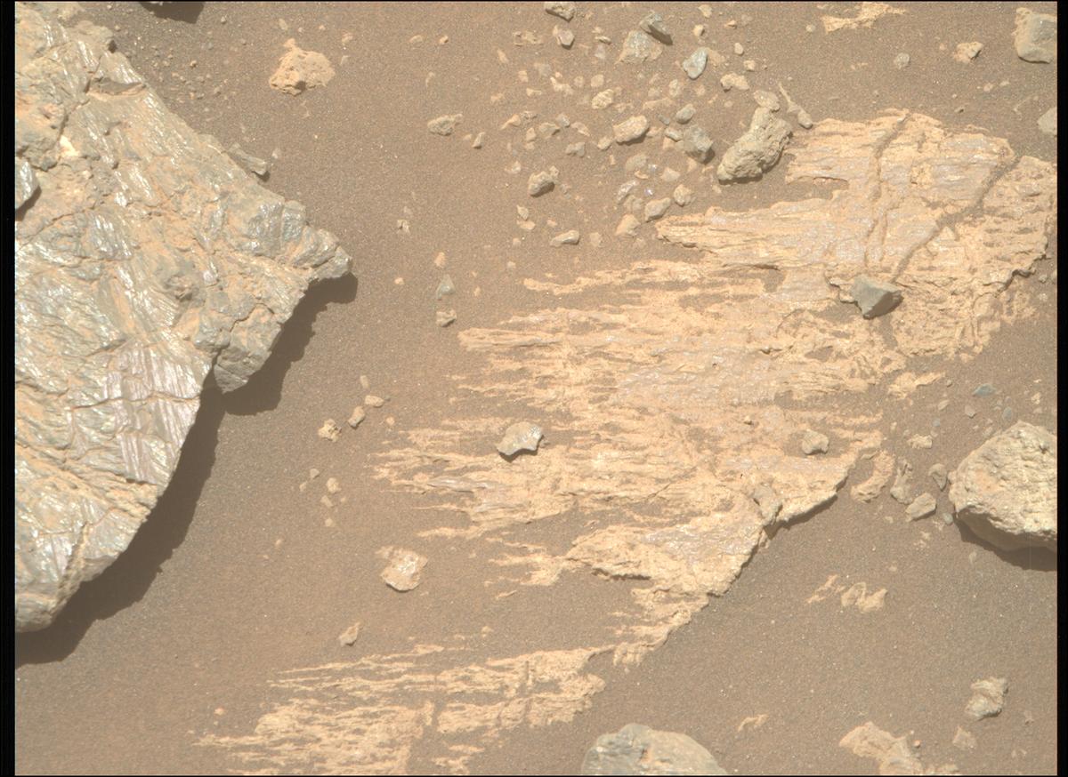 This image was taken by MCZ_RIGHT onboard NASA's Mars rover Perseverance on Sol 1624