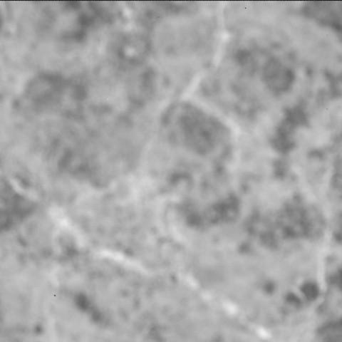 This image was taken by SHERLOC_ACI onboard NASA's Mars rover Perseverance on Sol 1626