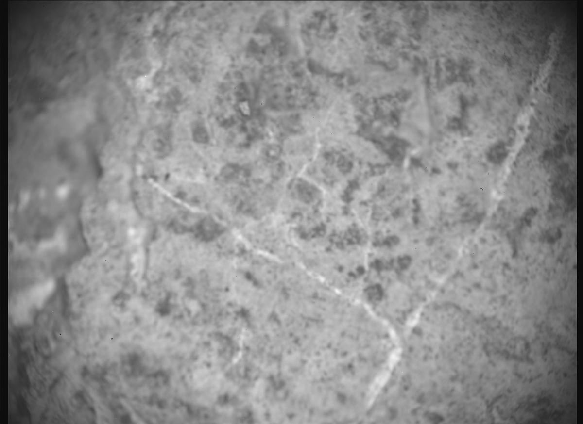 This image was taken by SHERLOC_ACI onboard NASA's Mars rover Perseverance on Sol 1626