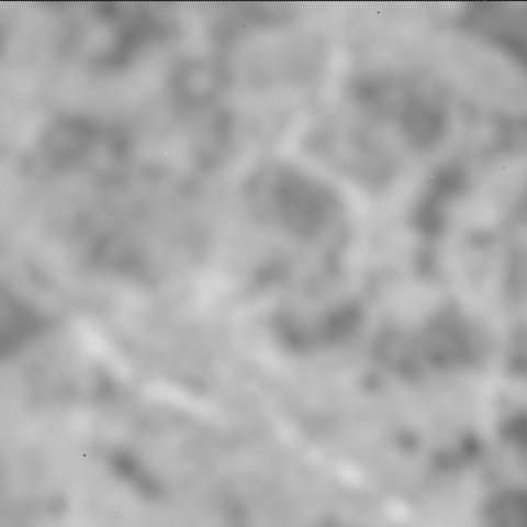 This image was taken by SHERLOC_ACI onboard NASA's Mars rover Perseverance on Sol 1626