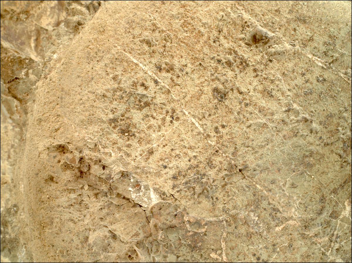 This image was taken by SHERLOC_WATSON onboard NASA's Mars rover Perseverance on Sol 1626