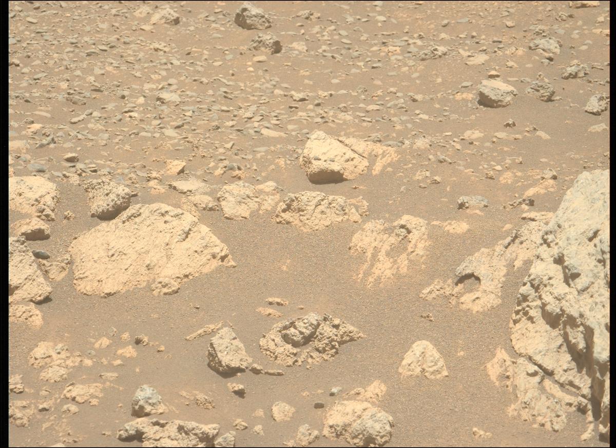 This image was taken by MCZ_LEFT onboard NASA's Mars rover Perseverance on Sol 1626