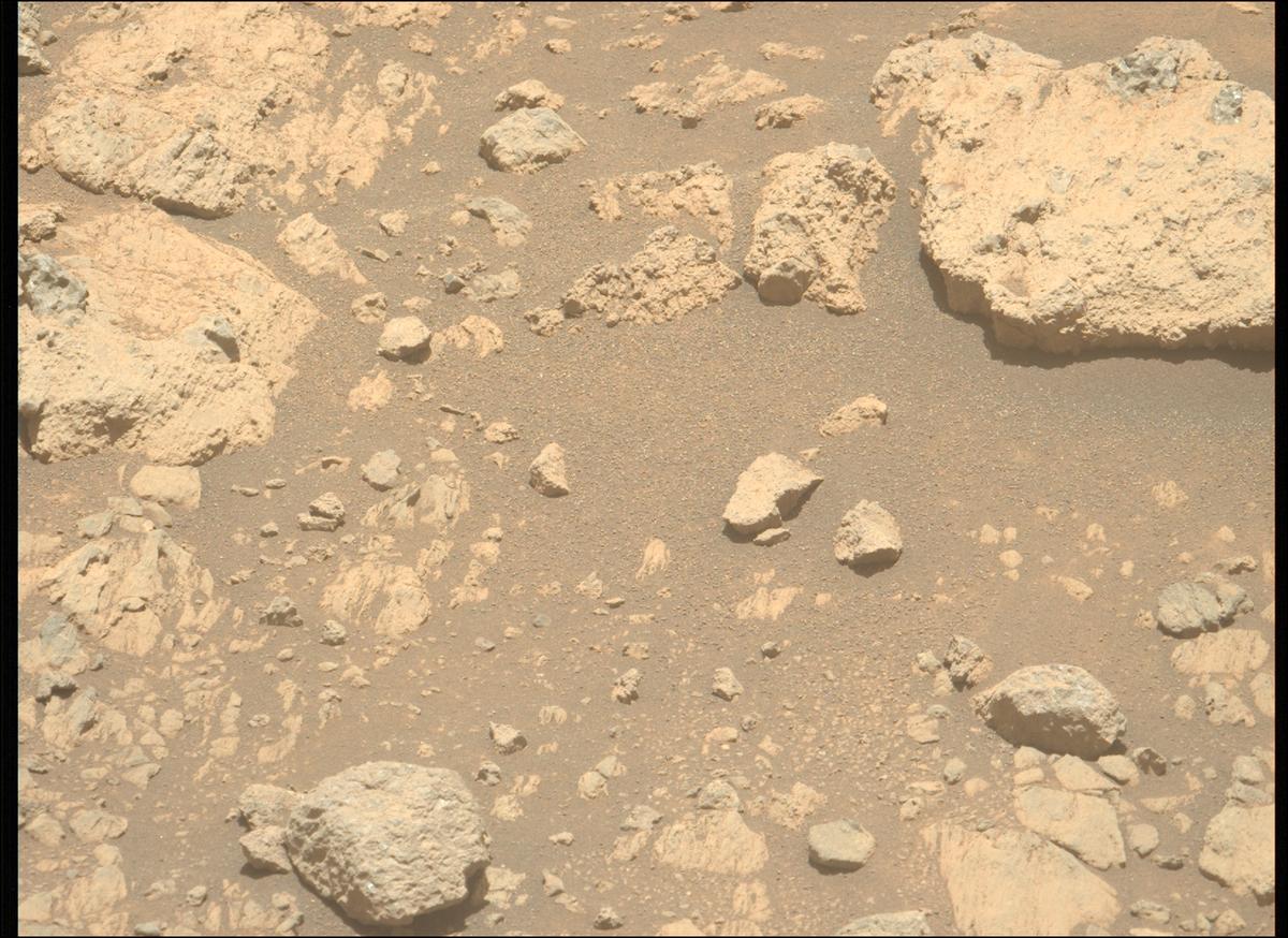 This image was taken by MCZ_LEFT onboard NASA's Mars rover Perseverance on Sol 1626