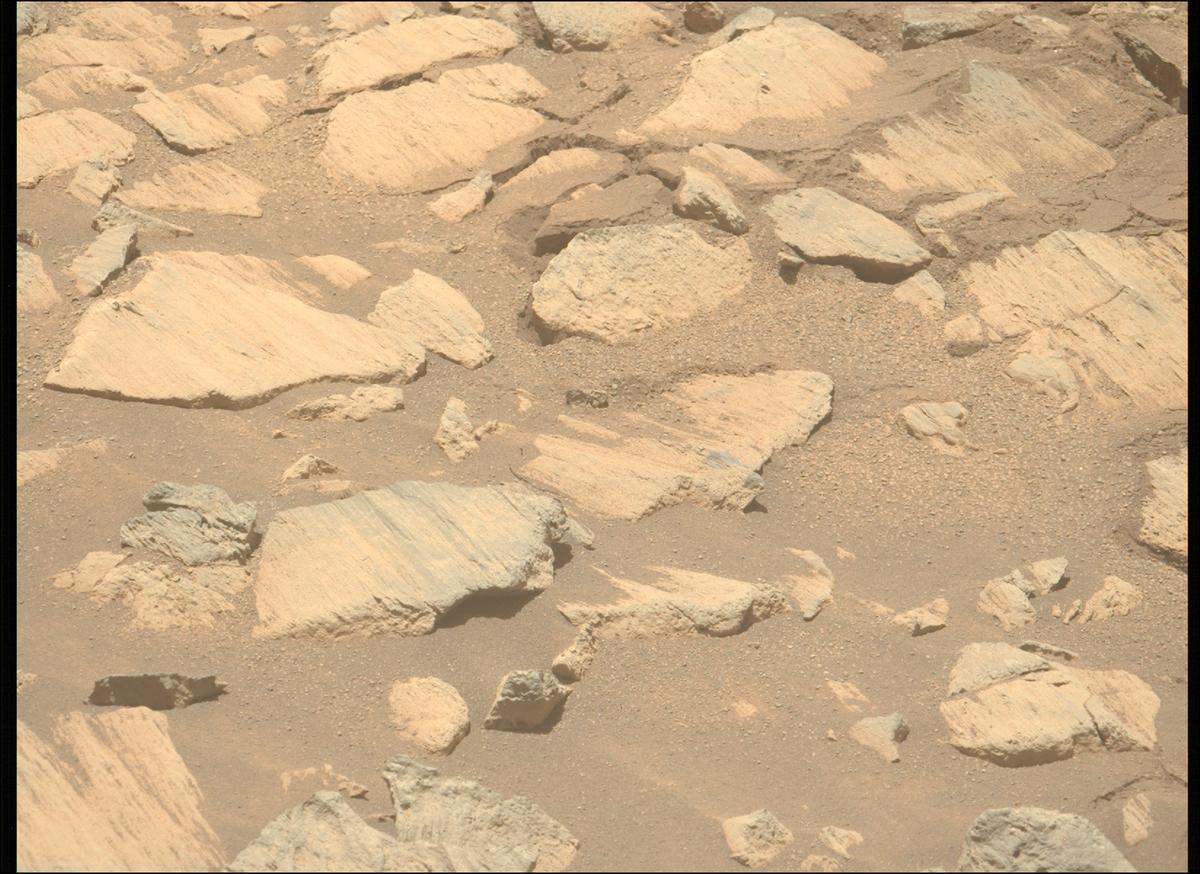 This image was taken by MCZ_LEFT onboard NASA's Mars rover Perseverance on Sol 1626