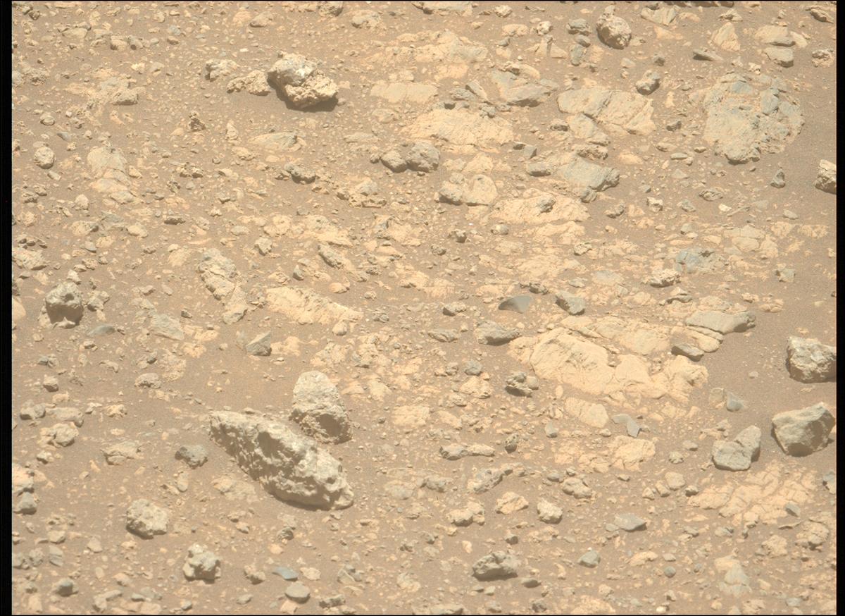 This image was taken by MCZ_LEFT onboard NASA's Mars rover Perseverance on Sol 1626
