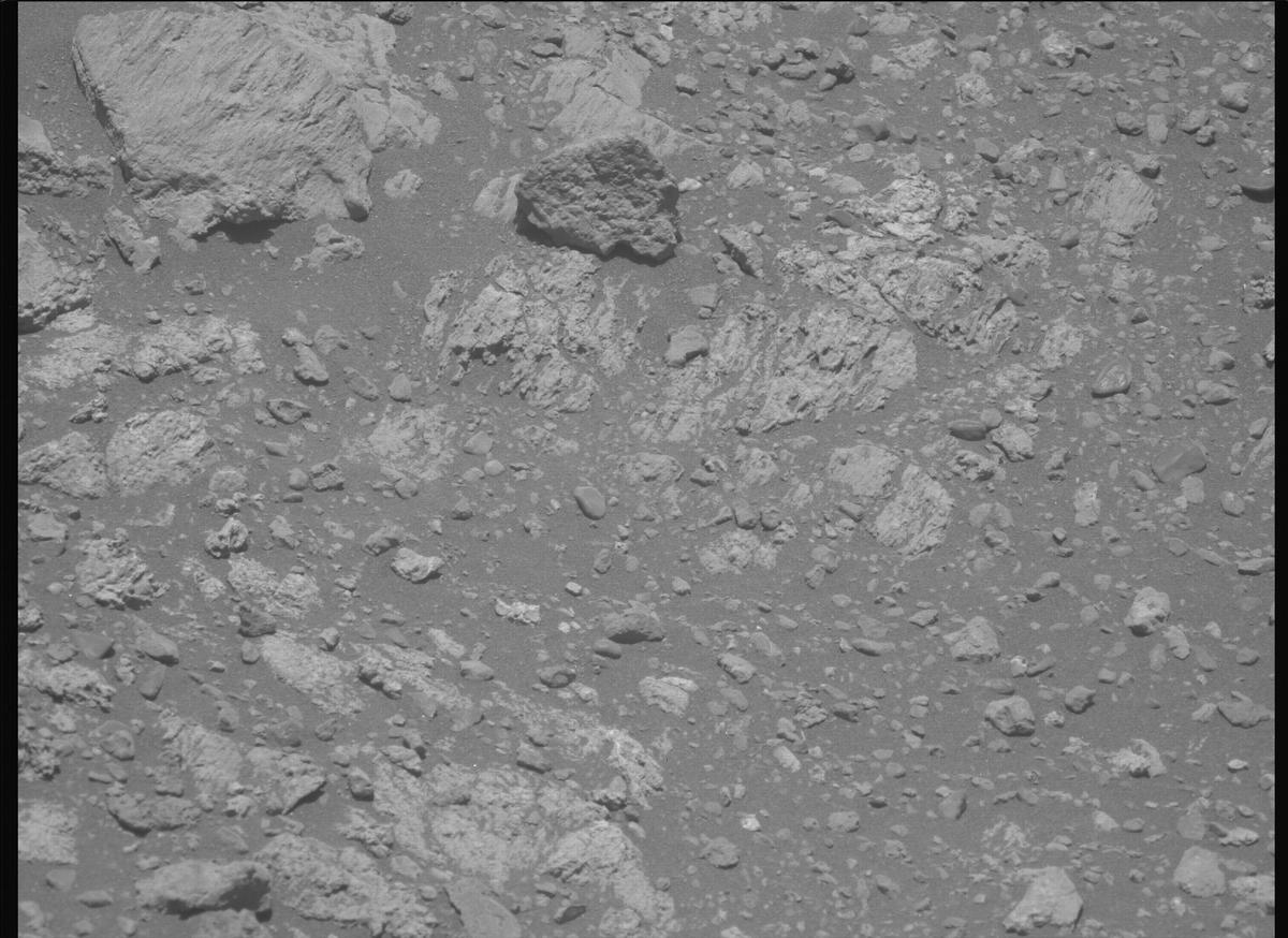 This image was taken by MCZ_LEFT onboard NASA's Mars rover Perseverance on Sol 1626