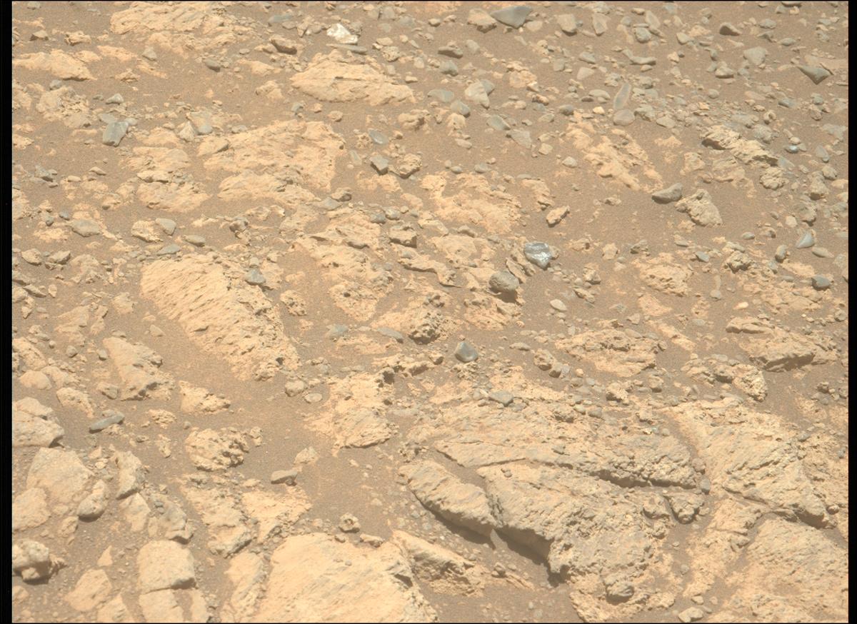 This image was taken by MCZ_LEFT onboard NASA's Mars rover Perseverance on Sol 1626