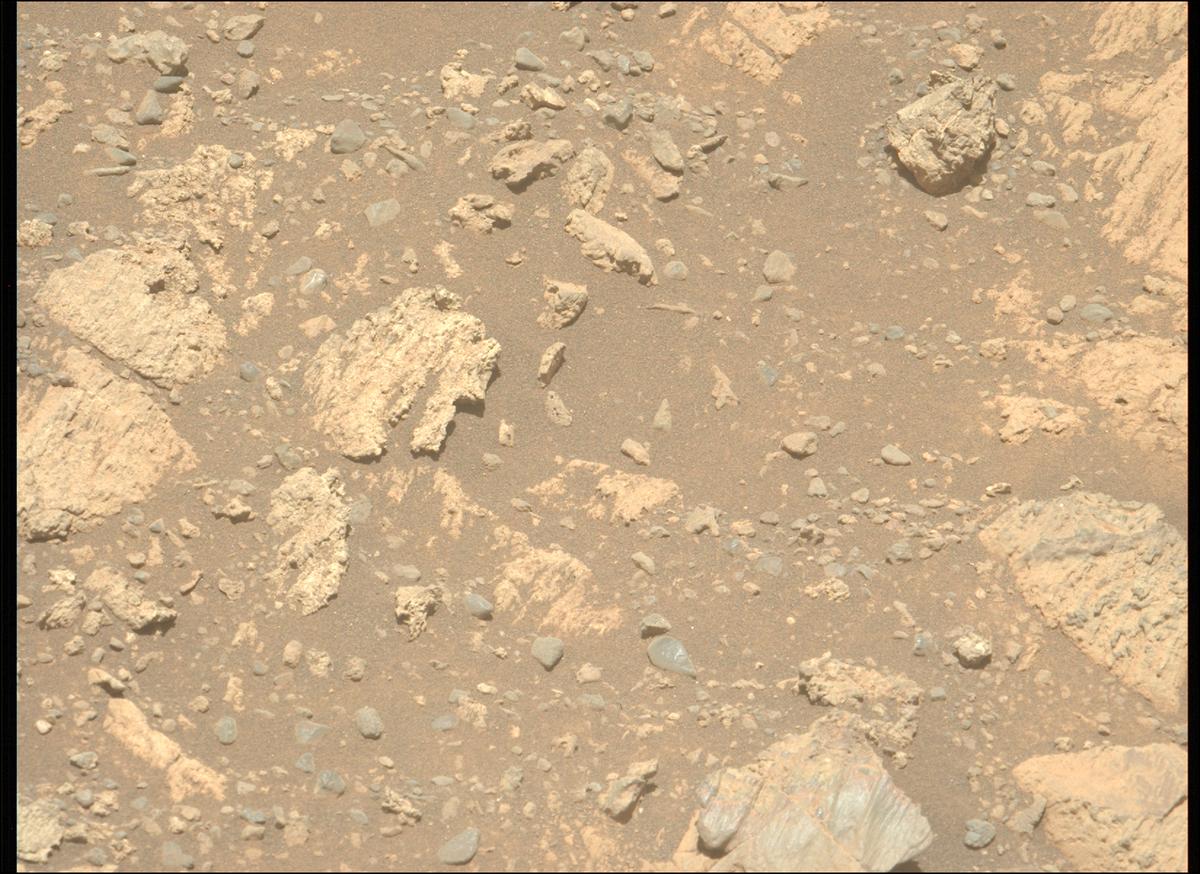 This image was taken by MCZ_LEFT onboard NASA's Mars rover Perseverance on Sol 1626