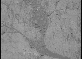 View image taken on Mars, Mars Perseverance Sol 1626: Left Mastcam-Z Camera