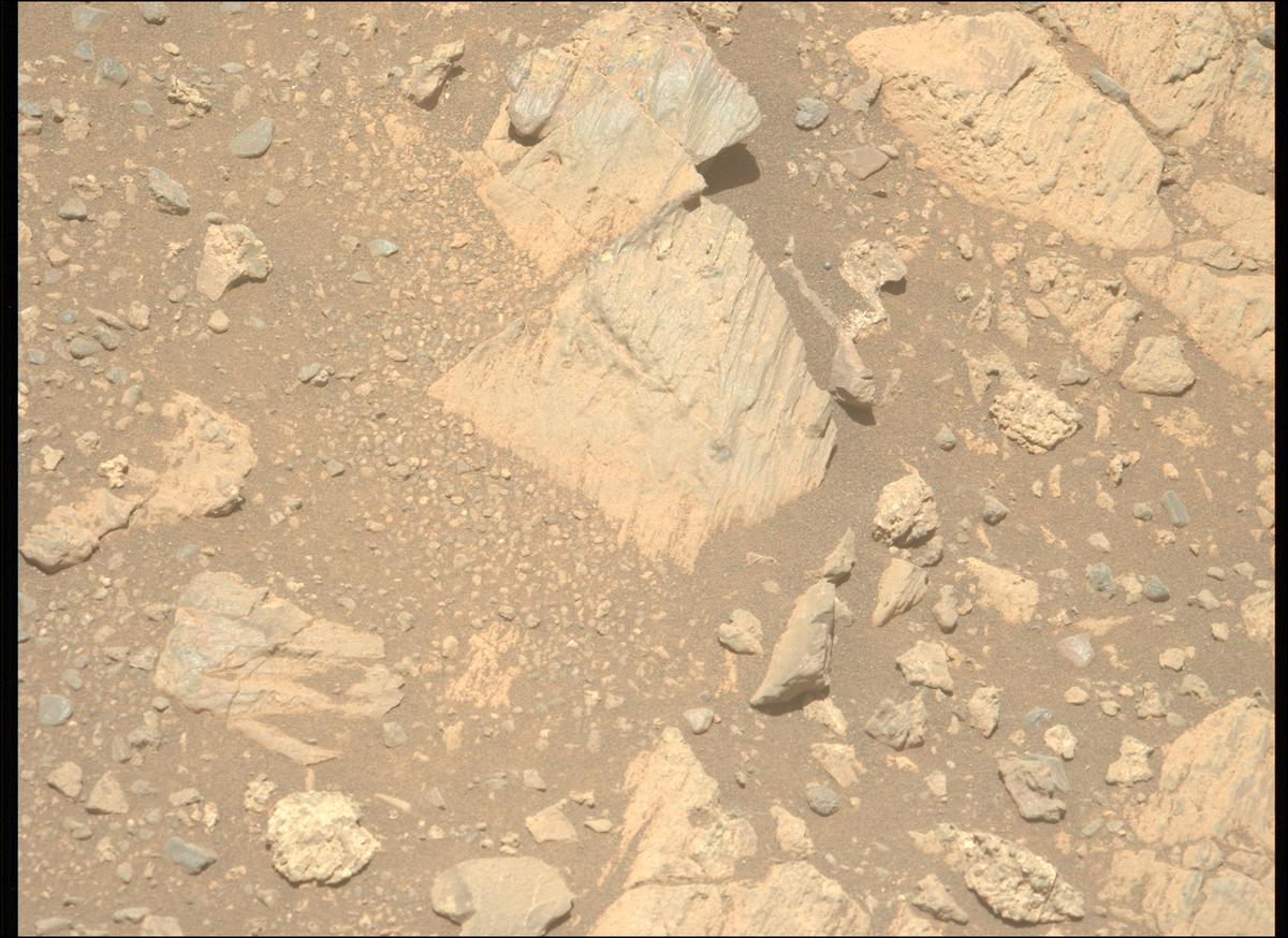 This image was taken by MCZ_LEFT onboard NASA's Mars rover Perseverance on Sol 1626