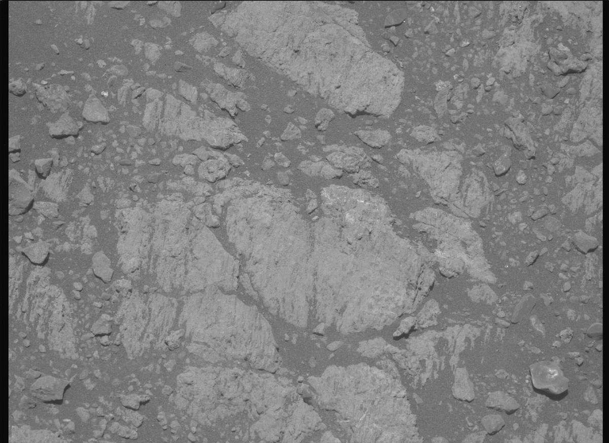 This image was taken by MCZ_LEFT onboard NASA's Mars rover Perseverance on Sol 1626