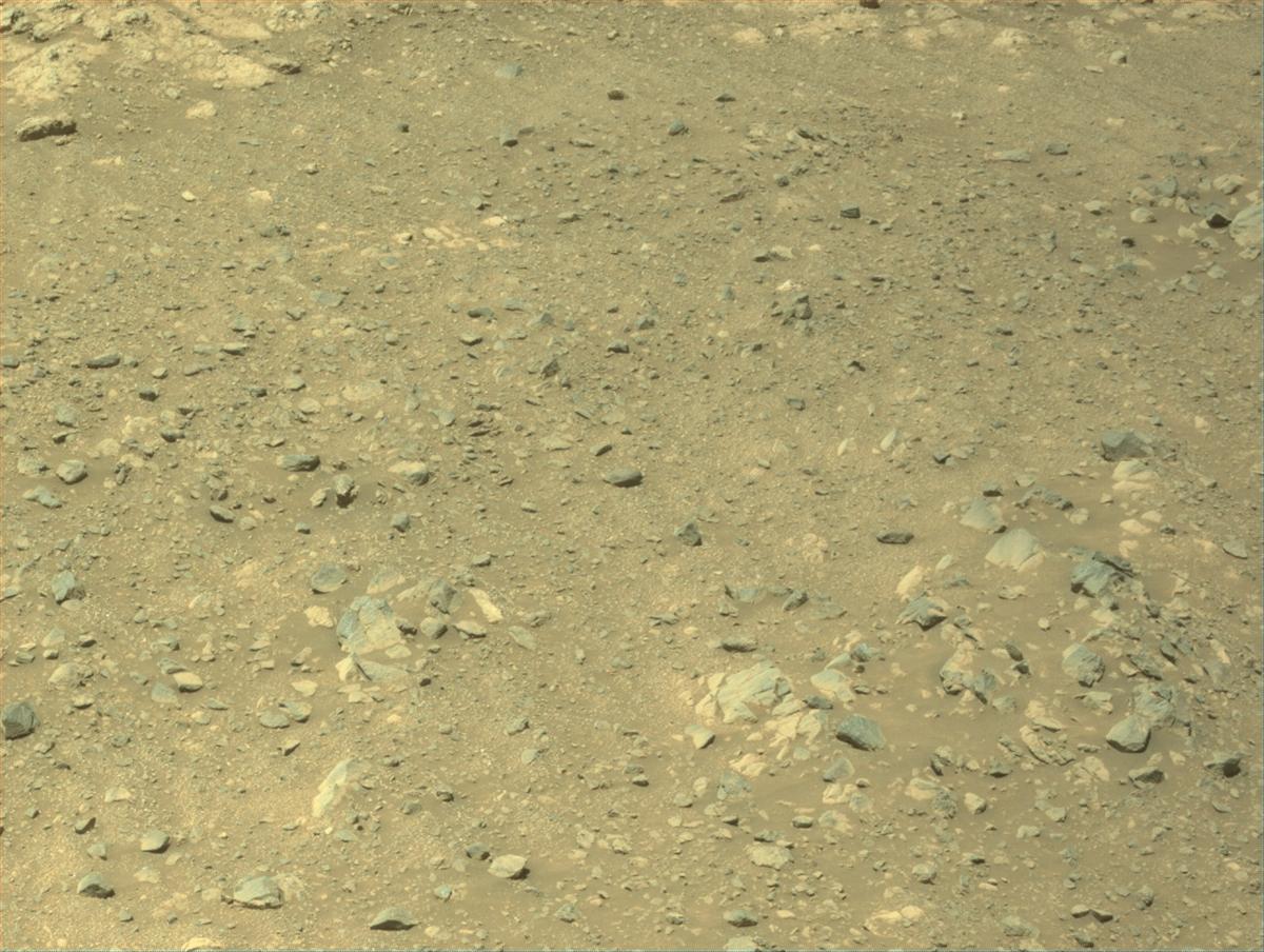 This image was taken by NAVCAM_LEFT onboard NASA's Mars rover Perseverance on Sol 1629