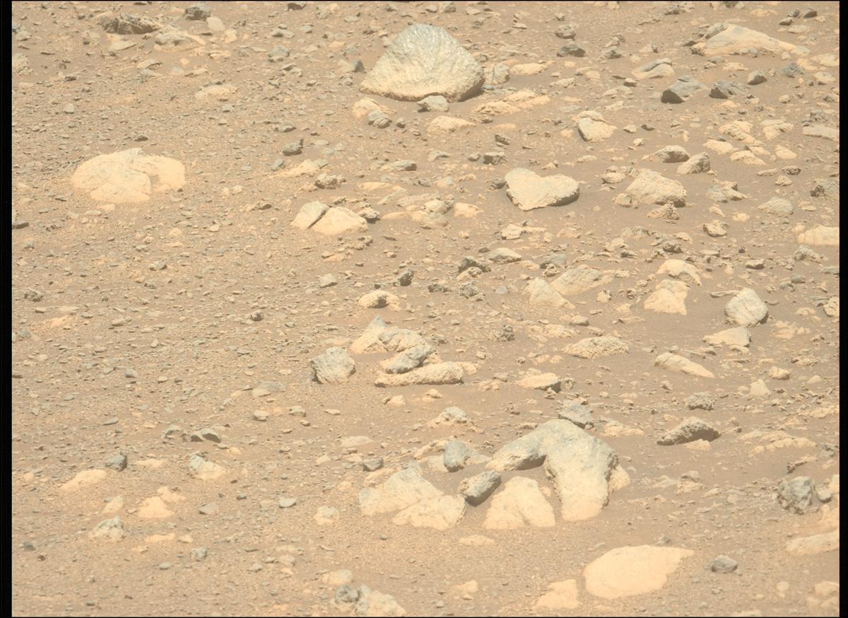 This image was taken by MCZ_LEFT onboard NASA's Mars rover Perseverance on Sol 1629