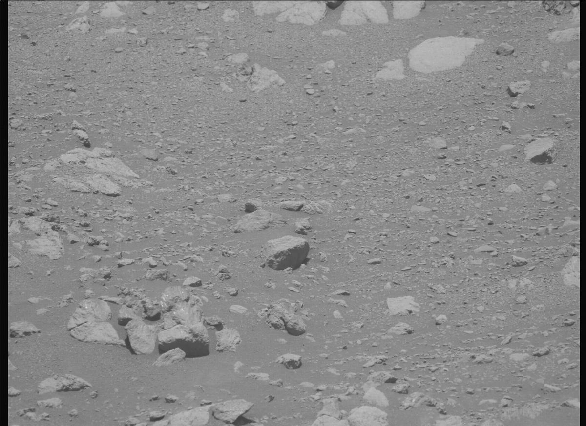 This image was taken by MCZ_LEFT onboard NASA's Mars rover Perseverance on Sol 1629