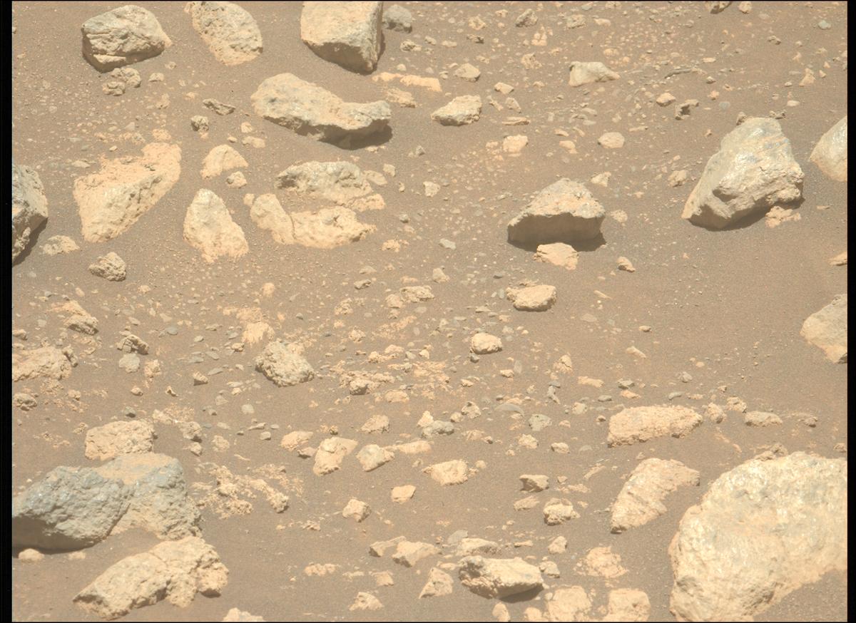 This image was taken by MCZ_LEFT onboard NASA's Mars rover Perseverance on Sol 1629