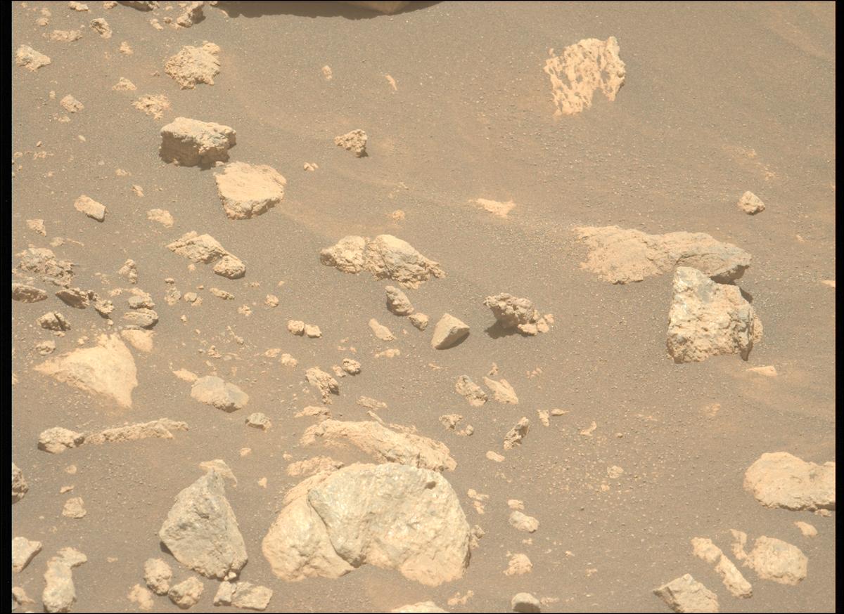 This image was taken by MCZ_LEFT onboard NASA's Mars rover Perseverance on Sol 1629