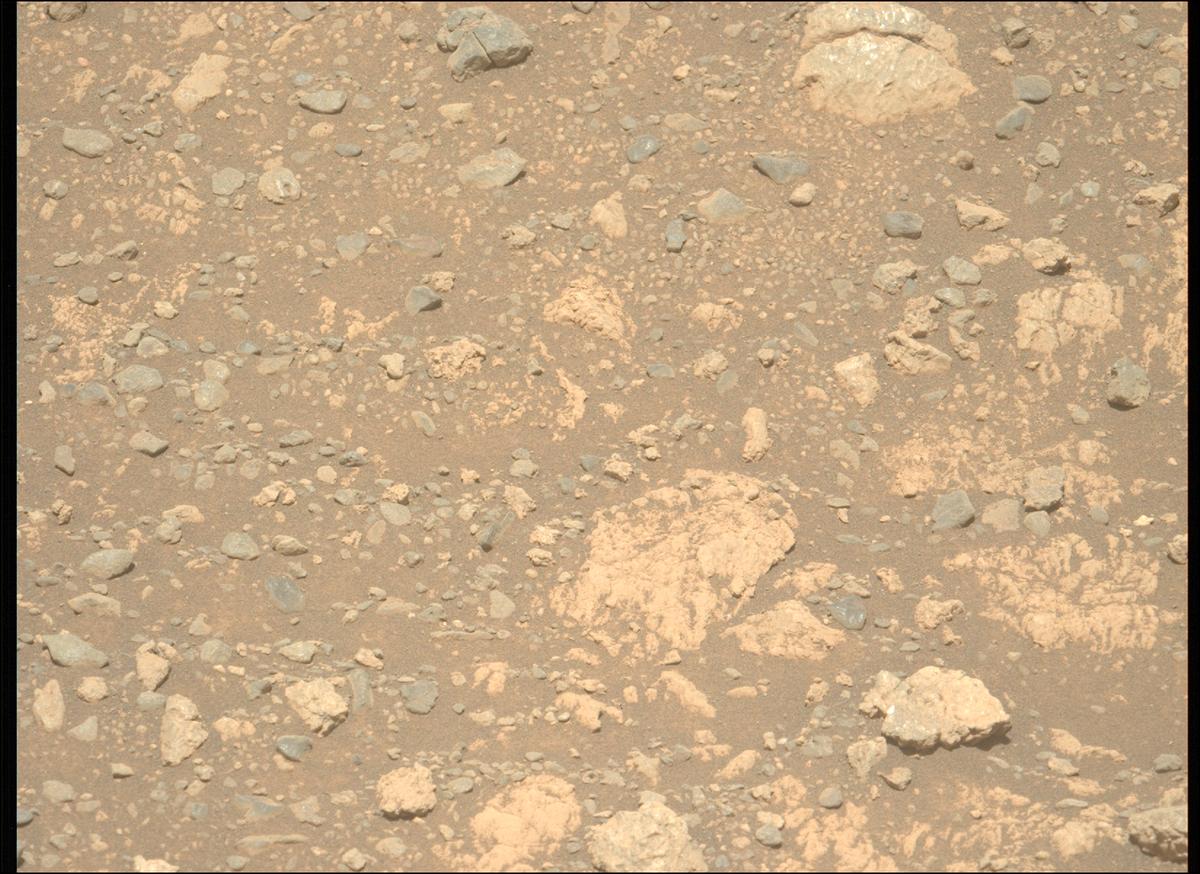 This image was taken by MCZ_LEFT onboard NASA's Mars rover Perseverance on Sol 1629