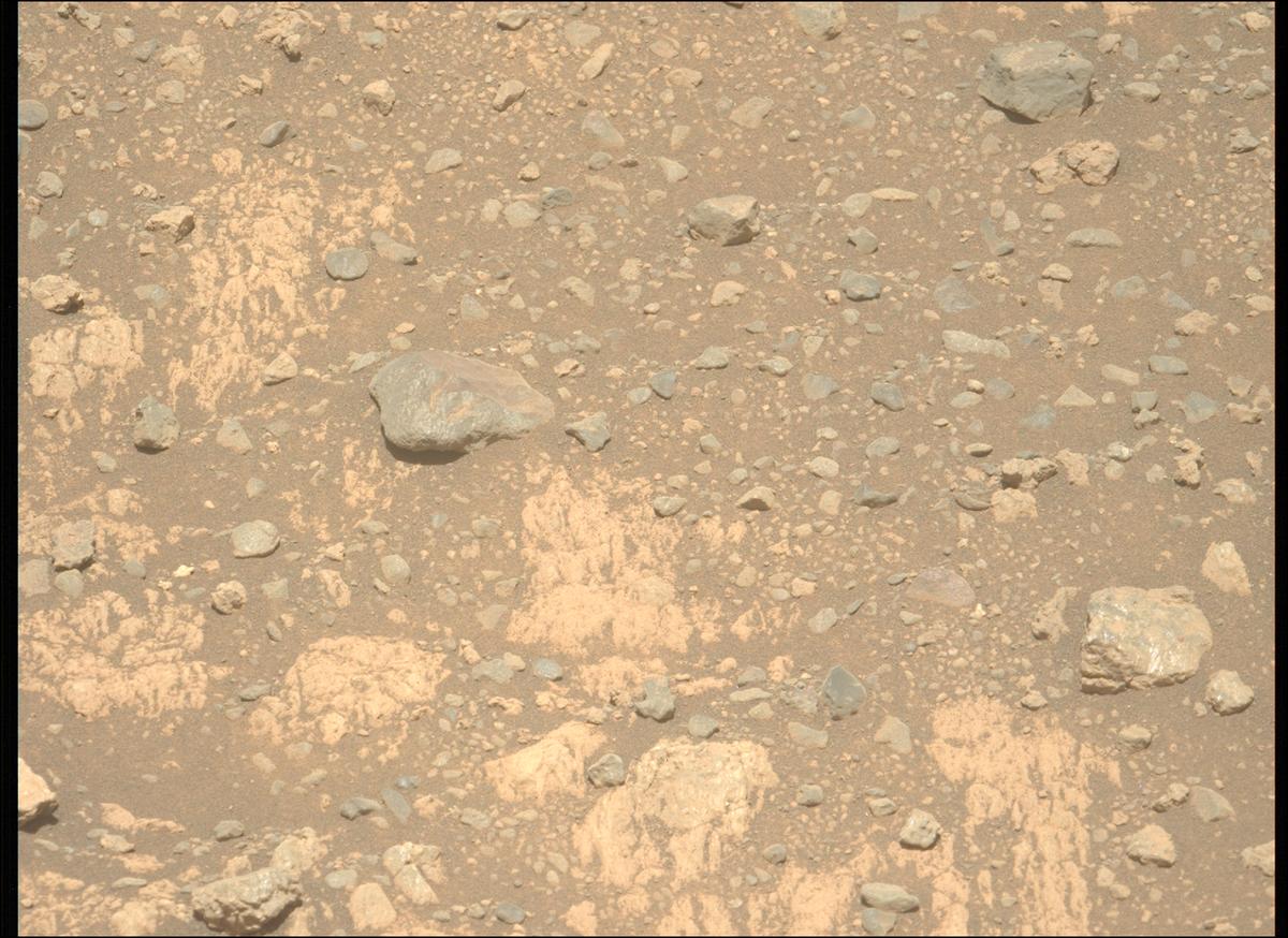 This image was taken by MCZ_LEFT onboard NASA's Mars rover Perseverance on Sol 1629